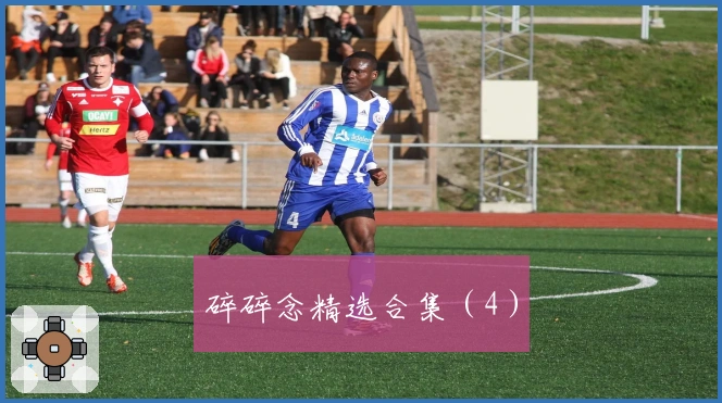 碎碎念精选合集（4）